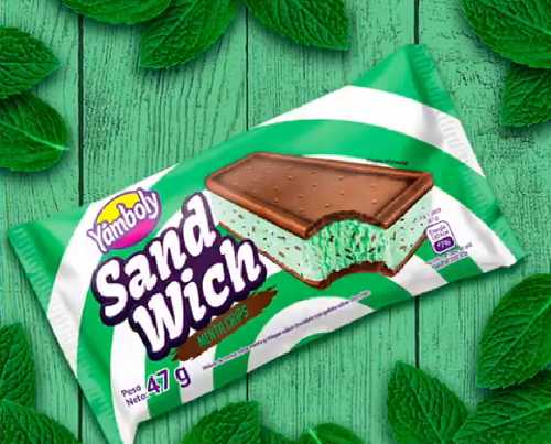 Helado VAINILLA CHIPS 490g