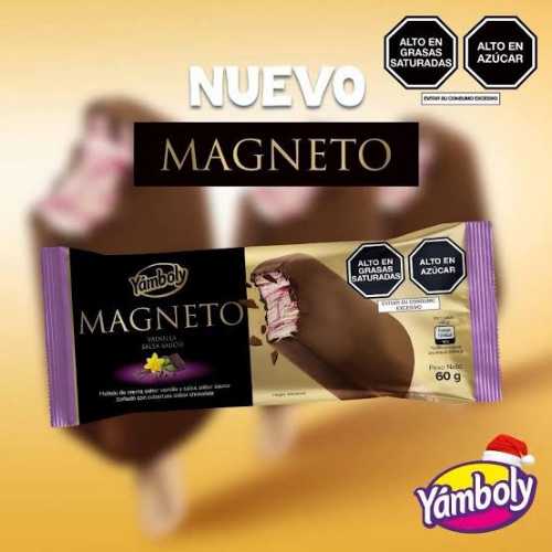 Helado MAGNETO SAUCO YAMBOLY 60g